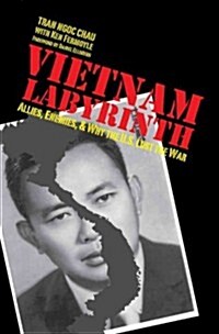 Vietnam Labyrinth: Allies, Enemies, and Why the U.S. Lost the War (Hardcover, New)