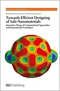 Towards Efficient Designing of Safe Nanomaterials : Innovative Merge of Computational Approaches and Experimental Techniques (Hardcover)