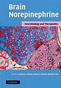 Brain Norepinephrine : Neurobiology and Therapeutics (Paperback)