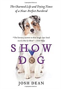 Show Dog (Paperback)