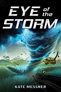 Eye of the Storm (Paperback)