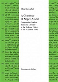 A Grammar of Negev Arabic: Comparative Studies, Texts and Glossary in the Bedouin Dialect of the Azazmih Tribe (Hardcover)