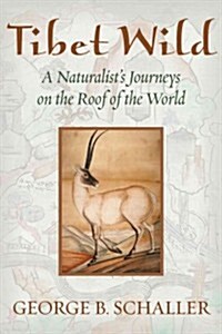 Tibet Wild: A Naturalists Journeys on the Roof of the World (Hardcover)