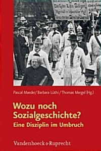 Wozu Noch Sozialgeschichte?: Eine Disziplin Im Umbruch (Hardcover)