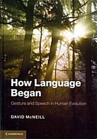 How Language Began : Gesture and Speech in Human Evolution (Hardcover)