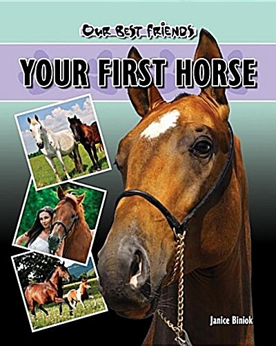 Your First Horse (Library Binding)