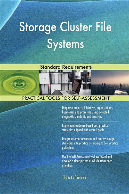 Storage Cluster File Systems Standard Requirements (Paperback)