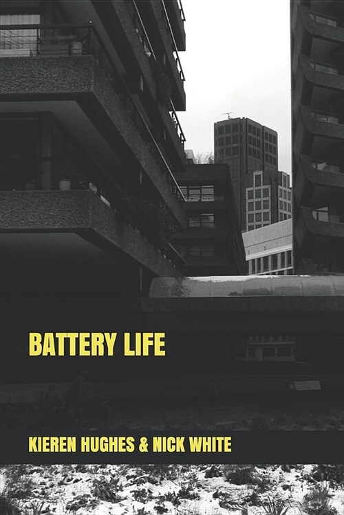 Battery Life (Paperback)