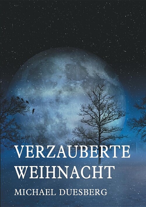 Verzauberte Weihnacht (Paperback)