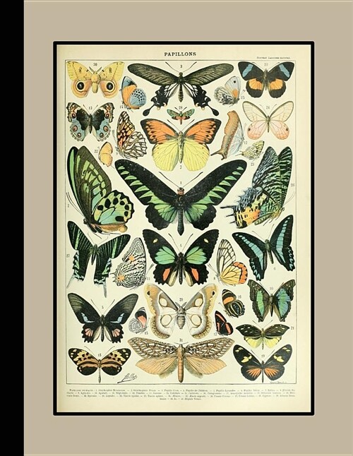 Vintage Botanical Illustration Journal: Papillions - The Large Botanical Journal for the Nature and Butterfly Lover and Enthusiast (Paperback)