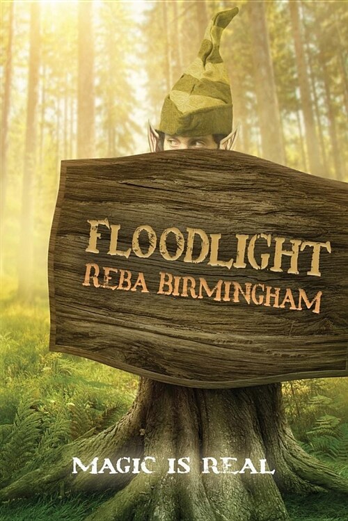 Floodlight: Book One in the Hercynian Forest Series (Paperback, 2, Second Edition)