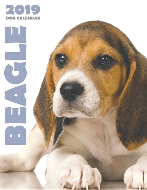 Beagle 2019 Dog Calendar (Paperback)