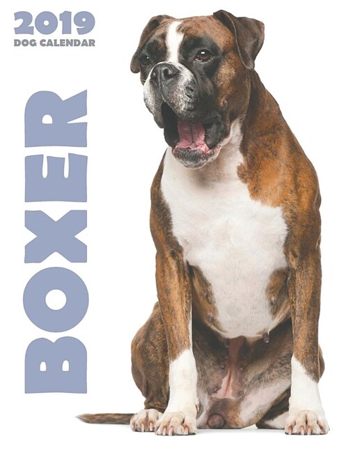 Boxer 2019 Dog Calendar (Paperback)