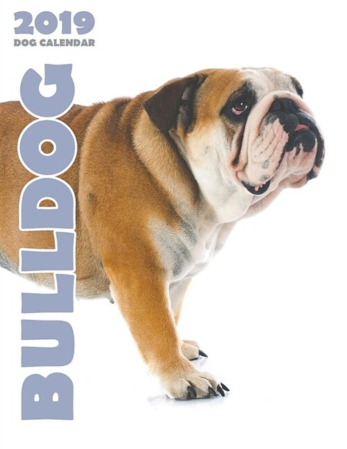 Bulldog 2019 Dog Calendar (Paperback)