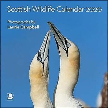 Scottish Wildlife Calendar 2020 (Calendar)