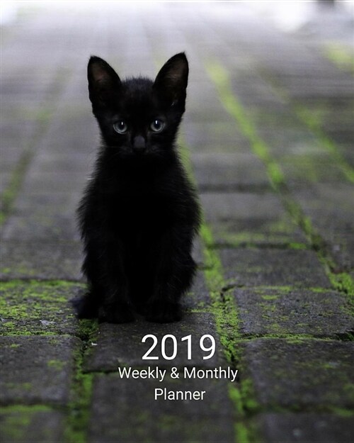 2019 Weekly and Monthly Planner: Black Kitten Daily Organizer -To Do -Calendar in Review/Monthly Calendar with U.S. Holidays (Paperback)