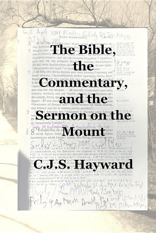 The Bible, the Commentary, and the Sermon on the Mount (Paperback)