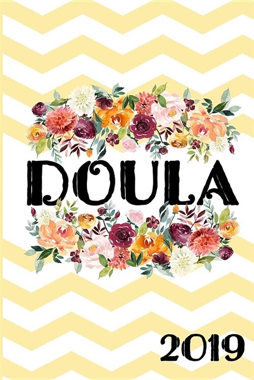 Doula 2019: Weekly Planner - 1 January - 31 December 2019 for Doula and Midwife (Paperback)