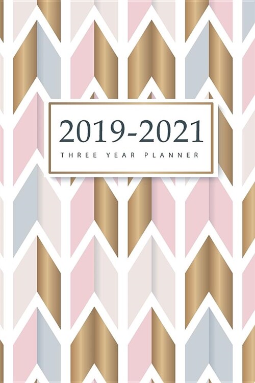 2019-2021 Three Year Planner: 36-Month Calendar Personal Planner for the Next Three Years and Appointment Agenda Organizer Notebook with Holidays Ja (Paperback)