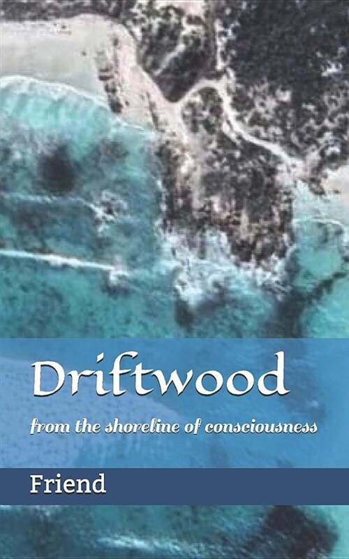 Driftwood: From the Shoreline of Consciousness (Paperback)