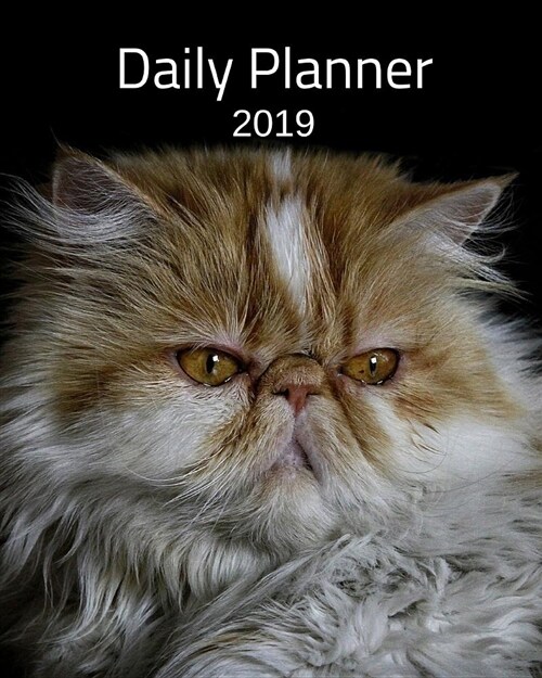 Planner 2019: Persian Cat (Paperback)