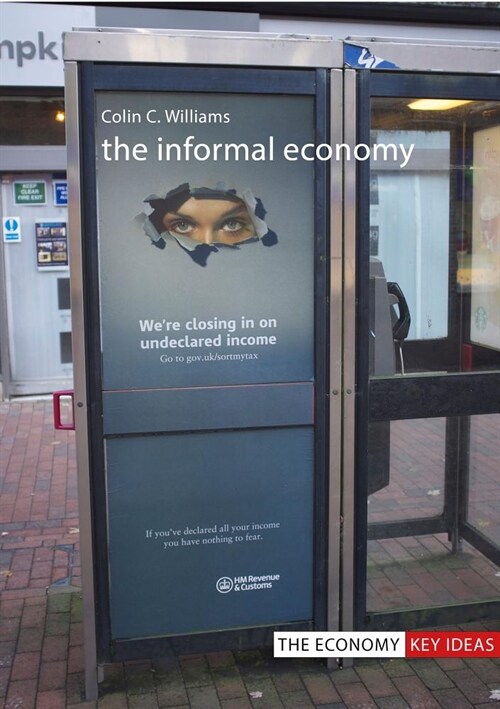 The Informal Economy (Hardcover)