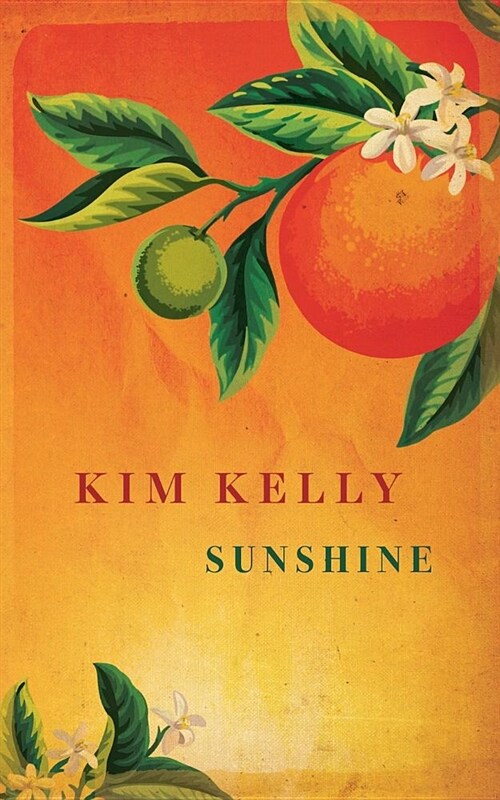 Sunshine (Paperback)