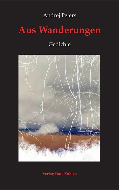 Aus Wanderungen: Gedichte (Paperback)