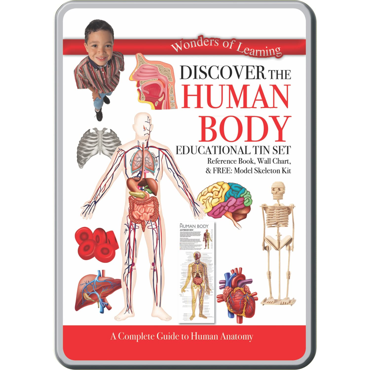 Wonders of Learning The Human Body Educational Tin Set (Paperback)