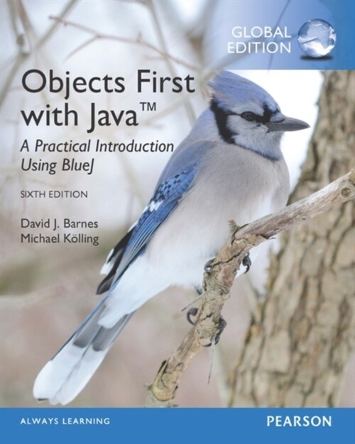 Objects First with Java: A Practical Introduction Using BlueJ, Global Edition (Paperback, 6 ed)