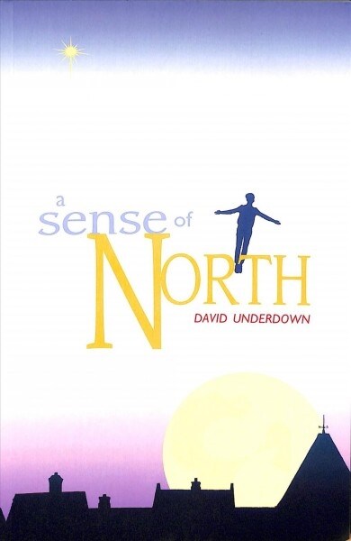 Sense of North, A (Paperback)