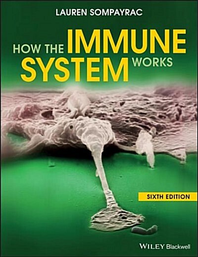 How the Immune System Works (Paperback, 6)