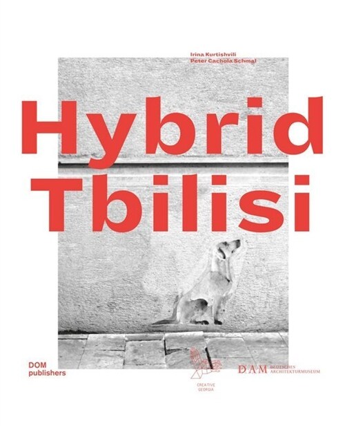 Hybrid Tbilisi. Betrachtungen zur Architektur in Georgien - Reflections on Architecture in Georgia (Hardcover)