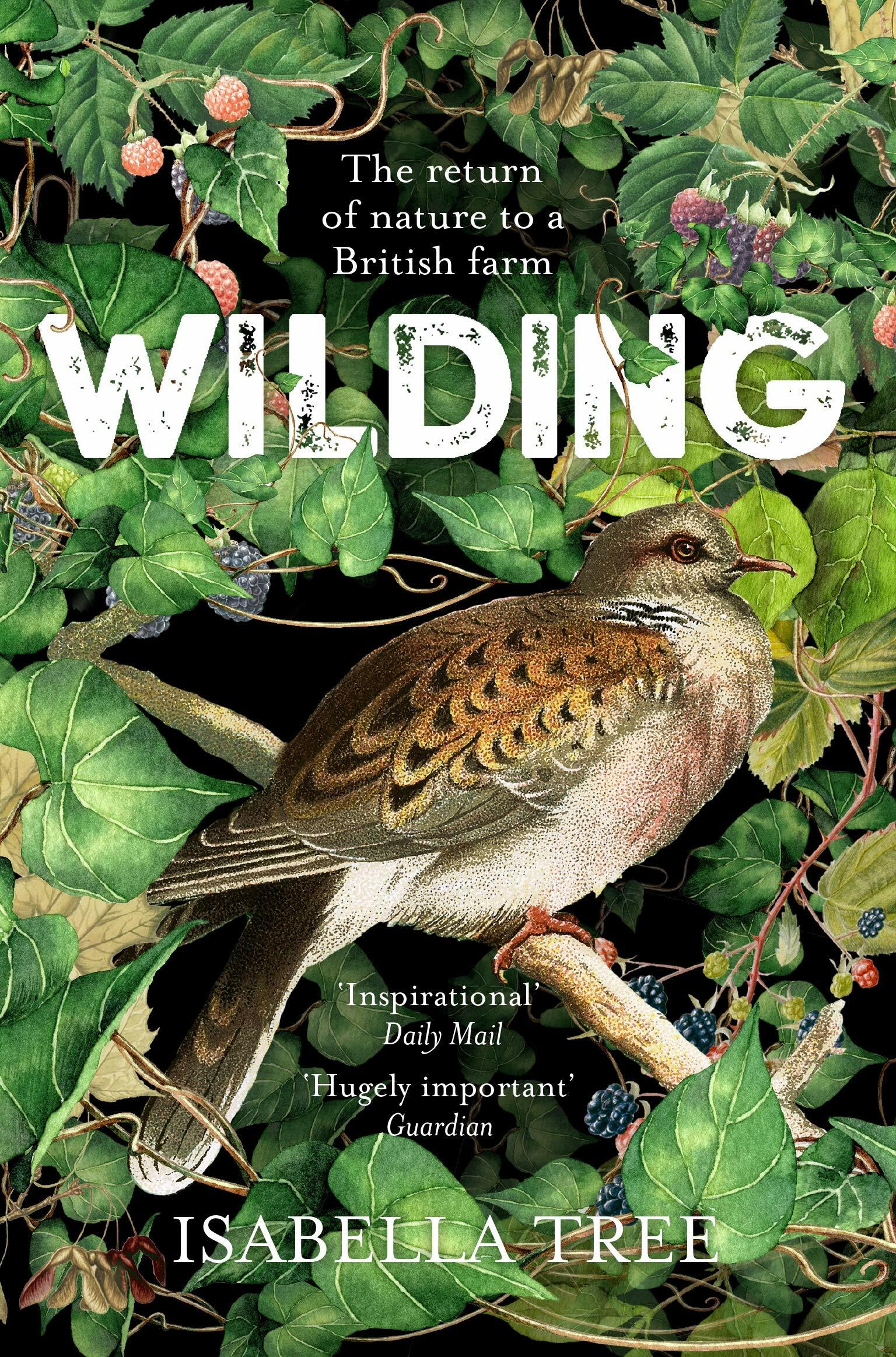 Wilding : The Return of Nature to a British Farm (Paperback)