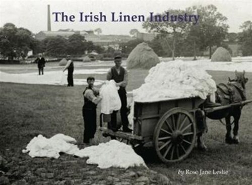 The Irish Linen Industry (Paperback)