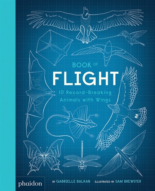 Book of Flight : 10 Record-Breaking Animals with Wings (Hardcover)