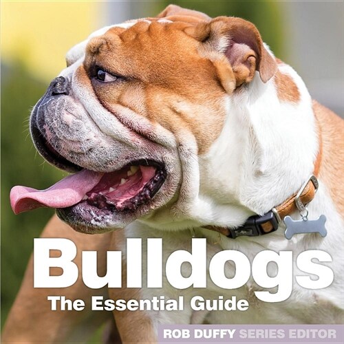 Bulldogs : The Essential Guide (Paperback)