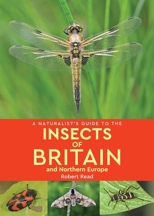 A Naturalists Guide to the Insects of Britain and Northern Europe (2nd edition) (Paperback, 2 Revised edition)