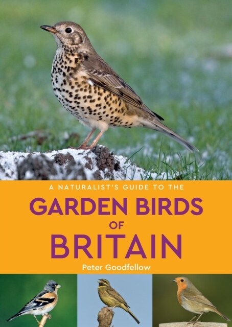 A Naturalists Guide to the Garden Birds of Britain (2nd edition) (Paperback, 2 Revised edition)