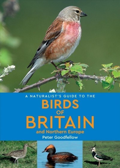 A Naturalists Guide to the Birds of Britain and Northern Europe (2nd edition) (Paperback, 2 Revised edition)
