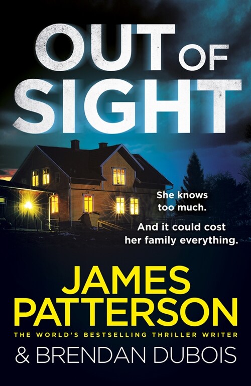 OUT OF SIGHT (Paperback)