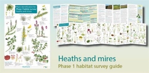 Plant identification for Phase 1 habitat survey: heaths and meres (Paperback)
