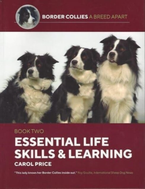 Life Skills and Learning (Paperback)