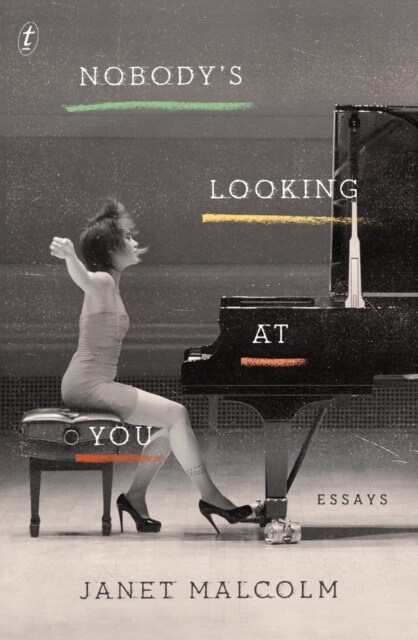 Nobodys Looking At You : Essays (Paperback)