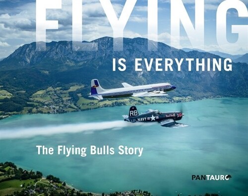 FLYING IS EVERYTHING (Hardcover)