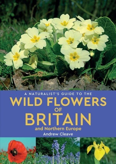 A Naturalists Guide to the Wild Flowers of Britain and Northern Europe (2nd edition) (Paperback, 2 Revised edition)