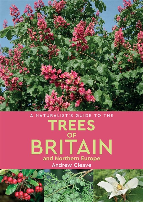 A Naturalists Guide to the Trees of Britain and Northern Europe (2nd edition) (Paperback, 2 Revised edition)