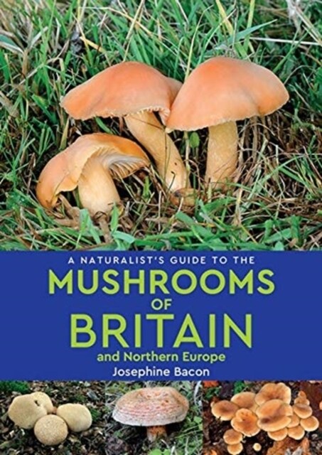 A Naturalists Guide to the Mushrooms of Britain and Northern Europe (2nd edition) (Paperback)