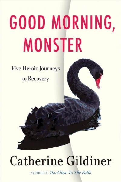 good morning monster five heroic journeys to recovery