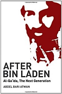 After Bin Laden (Paperback)